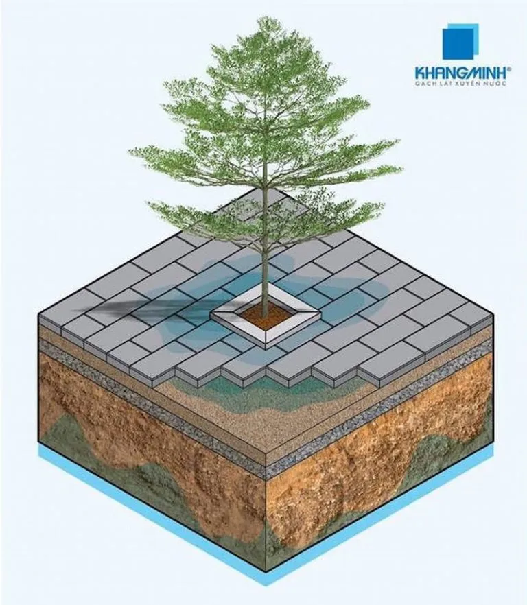 Ra mắt gạch lát xuyên nước thân thiện môi trường