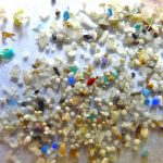 microbeads-microplastic-various